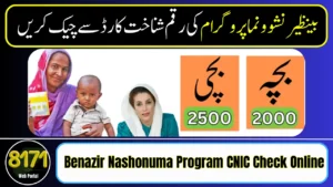 Benazir Nashonuma Program CNIC Check Online