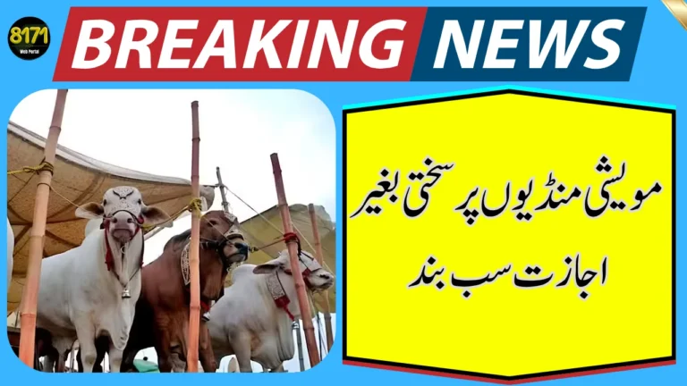 Karachi Tightens Cattle Market Rules Before Eid ul Azha
