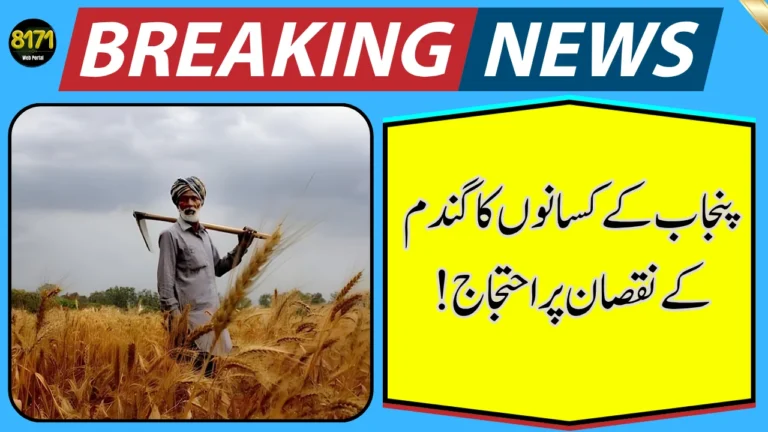Punjab Farmers Warn of Protests Over Wheat Losses in Pakistan