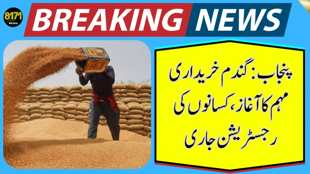 Punjab Launches Wheat Procurement Campaign – Farmers Registration in Full Swing