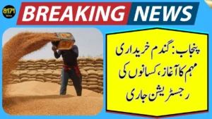Punjab Launches Wheat Procurement Campaign – Farmers Registration in Full Swing