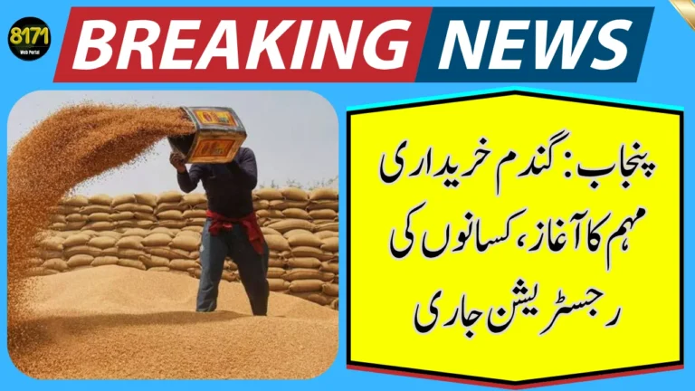 Punjab Launches Wheat Procurement Campaign – Farmers Registration in Full Swing