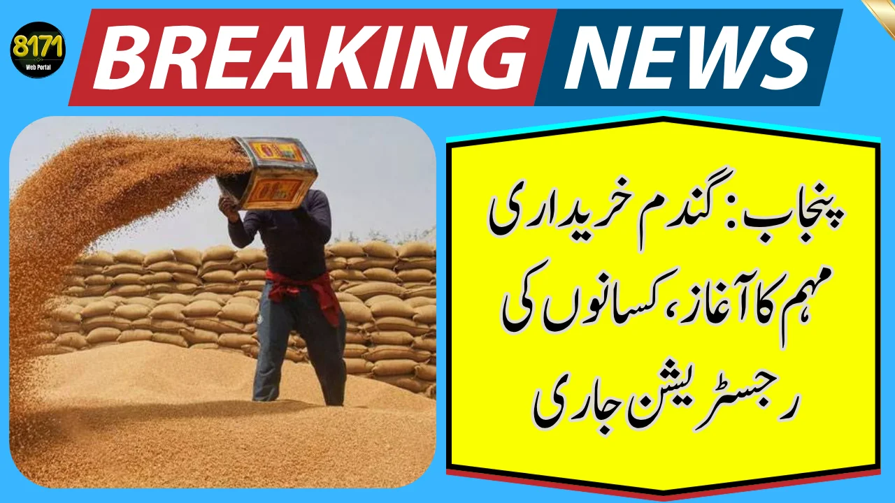 Punjab Launches Wheat Procurement Campaign – Farmers Registration in Full Swing